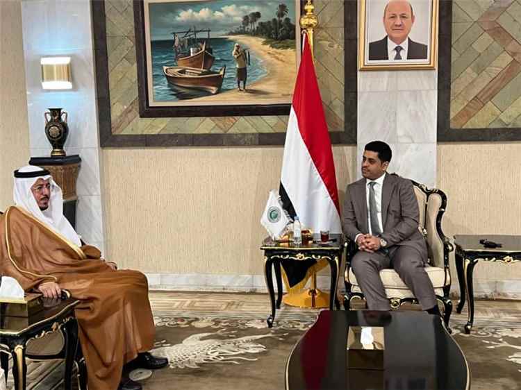 وزير حقوق الانسان يبحث مع منظمة التعاون الإسلامي سبل تعزيز ا