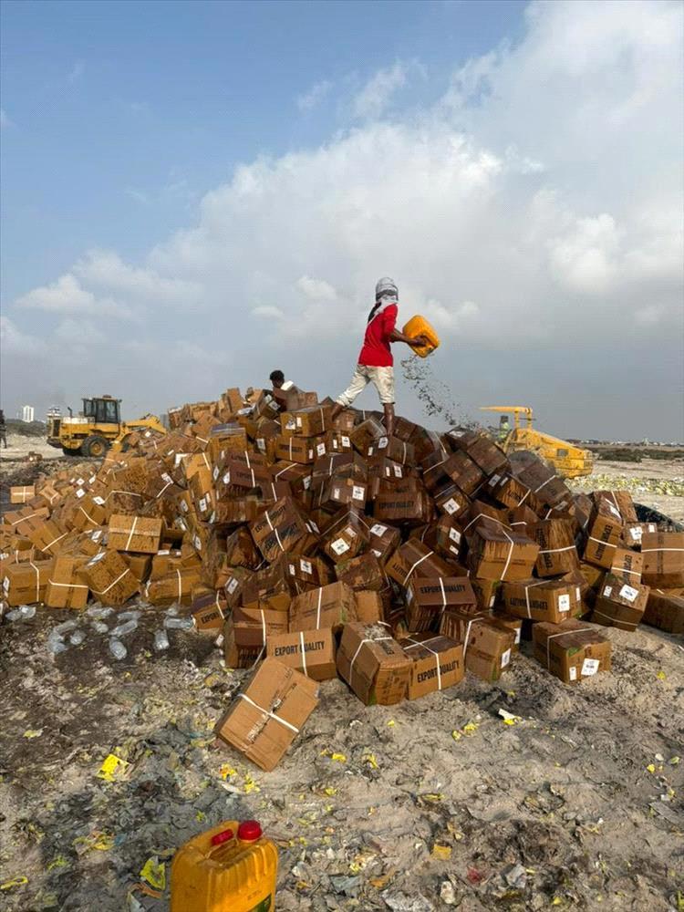 إتلاف كميات كبيرة من الأدوية المخالفة للمعايير والمواصفات في عدن