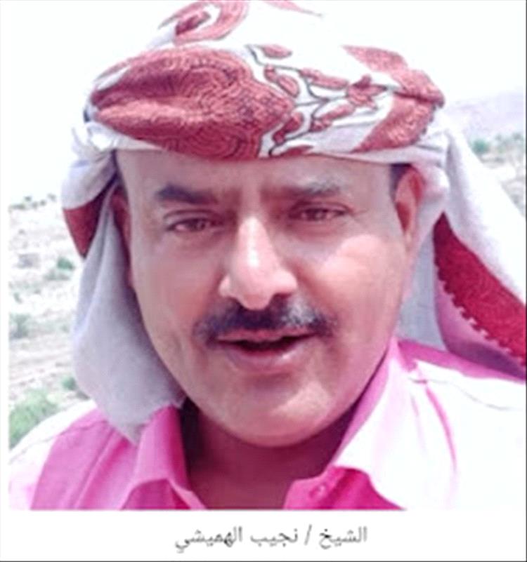 الشيخ نجيب فضل الهميشي يهنئ الأستاذ مراد الحالمي بتعيينه محافظًا لمحافظة لحج ويشيد بجهود المحافظ السابق