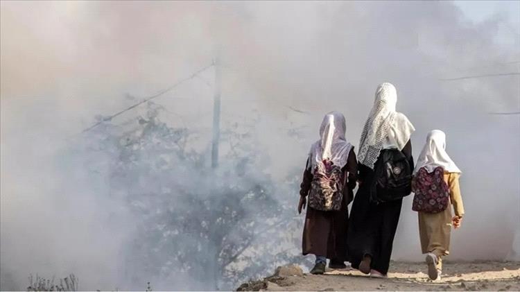 التعليم ينهار في اليمن.. ملايين الأطفال بين الفقر والحرمان