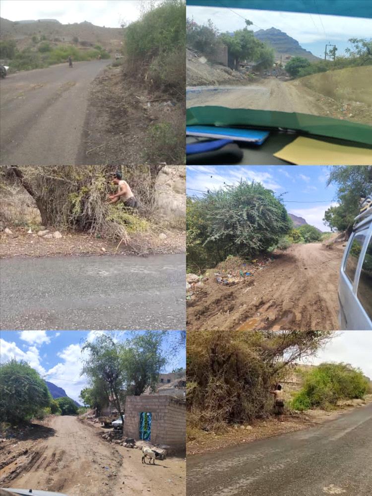 تواصل حملة تقليم الاشجار ورفع العوائق والمخلفات من الخط العام بالمسيمير