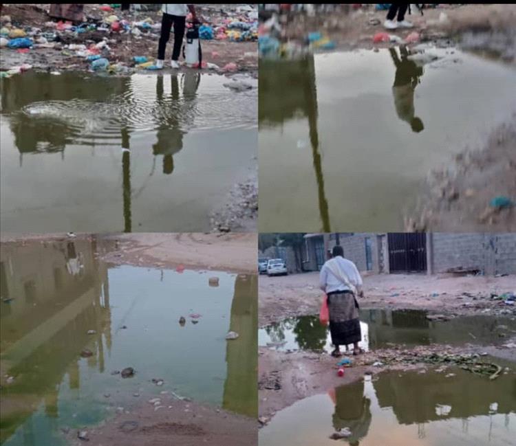 بتوجيهات مدير عام عتق.. إدارة صحة البيئة تنفذ حملة رش (رذاذي) عقب هطول الأمطار الأخيرة