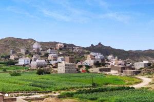 تفاصيل صادمة في جريمة الشعيب.. الجدة حاولت إنقاذه والأب أصرّ على قتله