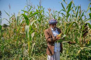 أولويات اليمن التنموية على طاولة "البنك الدول"