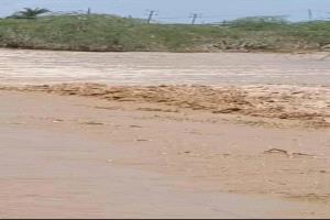 سيول مفاجئة تقطع الطريق الدولي في شقرة وتوقف حركة المركبات