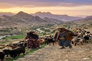 قصتان وقصيدتان عن الهتوف بالشعر