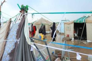 تقرير بريطاني: تخفيضات المساعدات الدولية تدفع اليمن نحو كارثة إنسانية أعمق في 2026