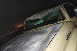 عاصفة غبارية مدمّرة تضرب الوديعة.. عشرات الضحايا وخسائر واسعة