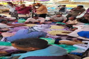 رائحة لا تغيب.. الفل اللحجي يقاوم الاندثار ويحفظ هوية الحوطة