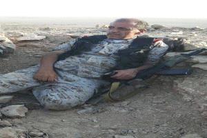 الأحمدي: الشهيد الوائلي قائد استثنائي خذلته السياسة وأُهدرت تضحياته