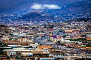 مقتل امرأة وإصابة طفلتين في جريمة بشعة بتعز