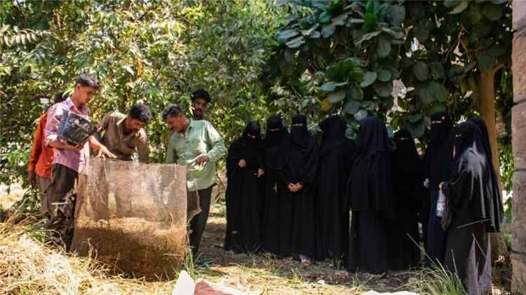 تطبيقات عملية لطلاب المعهد الزراعي بجعار في صناعة الكمبوست