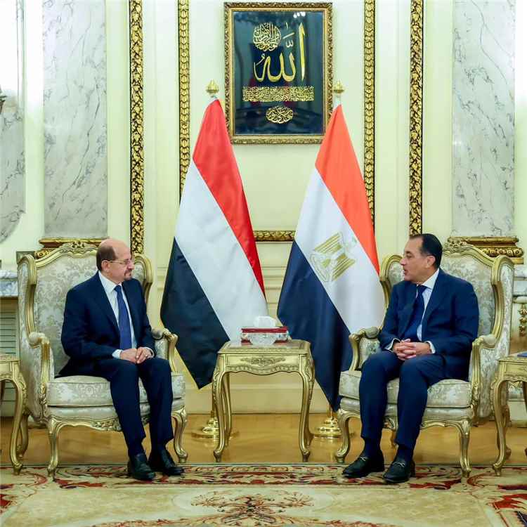 رئيس الوزراء وزير الخارجية يلتقي نظيره المصري