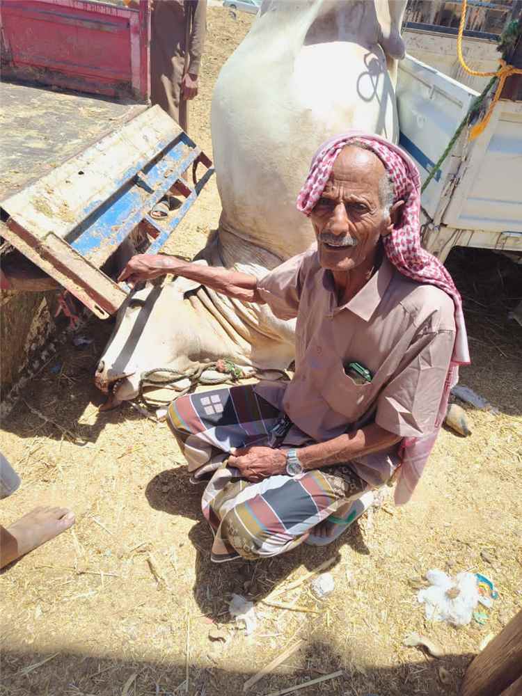 حملات ميدانية مكثفة لصحة البيئة بعتق لمراقبة الأضاحي وضمان سلامة اللحوم في أول أيام العيد