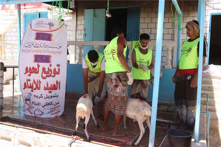 مؤسسة وادي دوعن للتنمية تنفذ مشروع الأضاحي لعام 1447هـ ولحوم الأيتام 
