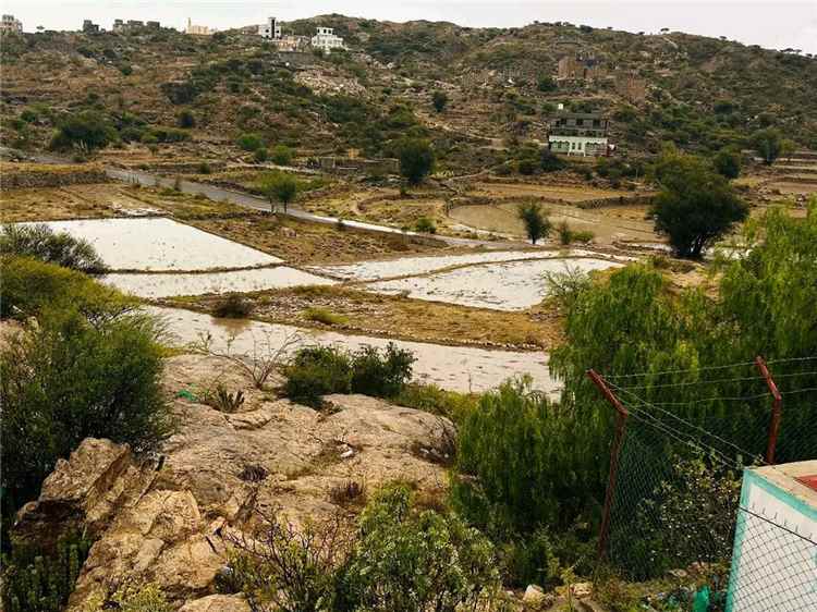 أمطار غزيرة تروي الشعيب وتنعش الأودية والمرتفعات