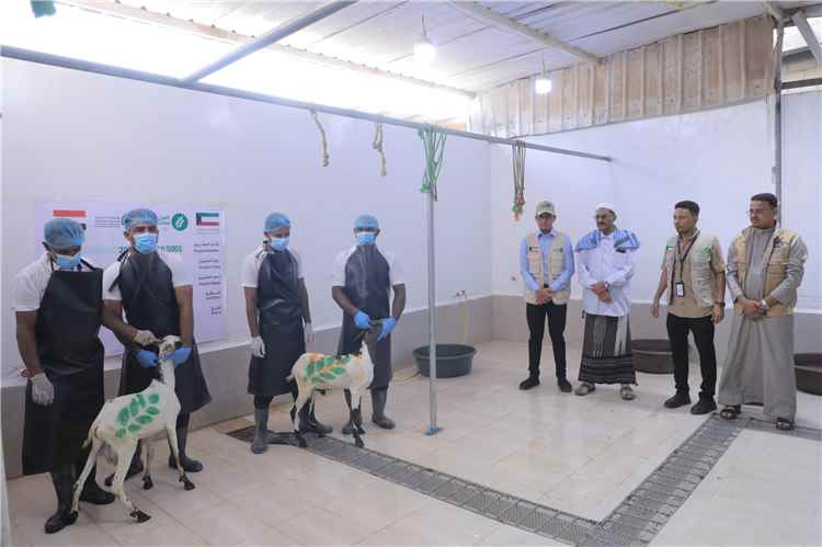 جمعية العون المباشر ومؤسسة استجابة تدشنان مشروع الأضاحي في حضرموت