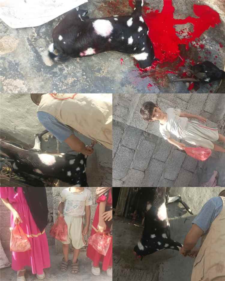 جمعية التراحم في لحج توزع أضاحي عيد الأضحى على عدد من ألاسر في منطقة العند بدعم من اتحاد الجمعيات والمؤسسات 