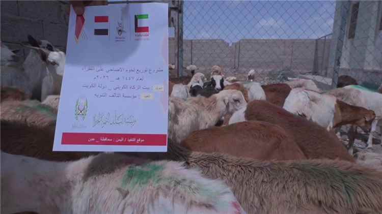 مؤسسة التآلف التنموية الخيرية توزع لحوم الأضاحي على 300 أسرة في عدن بدعم من بيت الزكاة الكويتي