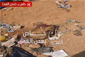 تفاصيل صادمة تكشف سبب فاجعة العبر.. جمل اعترض الحافلة قبل الاصطدام المروع بالشاحنة (فيديو)