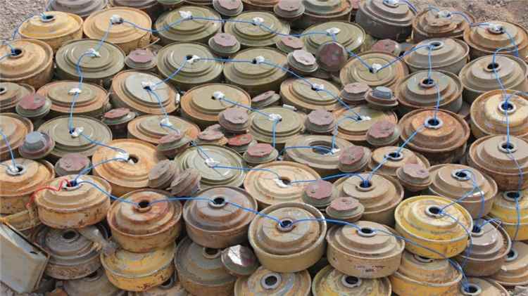 "مسام" يطهر 18 ألف متر مربع من مزارع ميدي في أغسطس