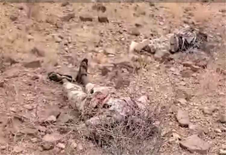 العثور على جثث لعناصر من حركة الشباب الصومالية قاتلوا في صفوف الحوثيين بالساحل الغربي