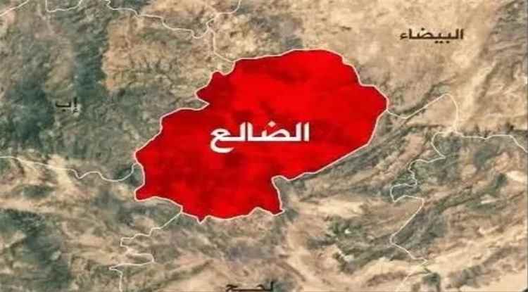 ميليشيا الحوثي تستهدف بقذائف الهاون احياء سكنية في الضالع