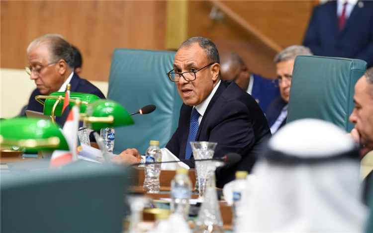 مصر تطرح ترتيبات أمنية عربية جديدة لمواجهة التهديدات