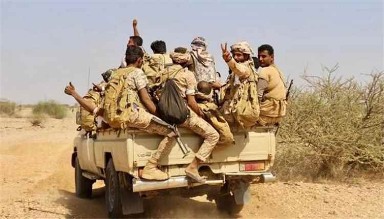 الجيش يواصل تمشيط الوازعية عقب أسر عدد من عناصر مليشيا الحوثي