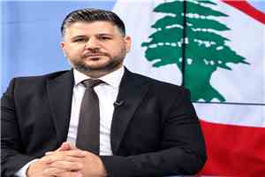 مستشار لبناني: الحوثيون وقعوا في فخ 