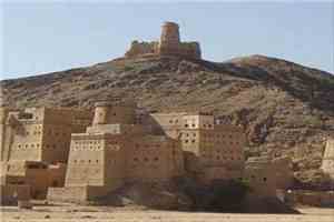الجوف تواجه تفشياً متزايداً لحمى الضنك وسط ضعف الاستجابة الصحية