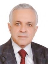 د. رضوان السيد
