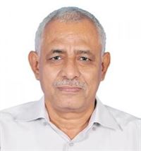 سلطان محمد سعيد