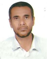 ابراهيم الشاش