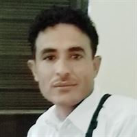 نجيب العلي