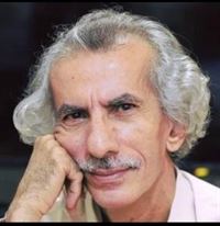 محمد الفاطمي