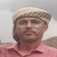 أنيس علوه