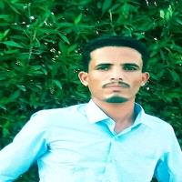 محمد عبدالقوي الاسرائيلي