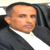 فتحي محمد الشاعري