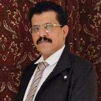 فضل السليماني الحنشي