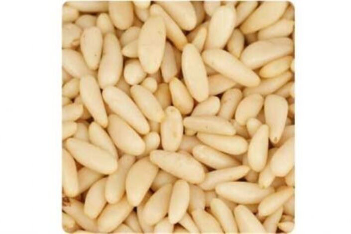 الصنوبر مصدر الطاقة