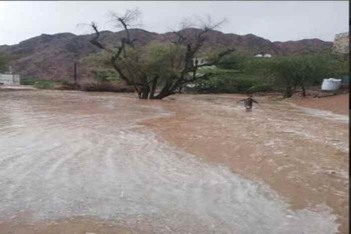 هطول أمطار غزيرة بمعظم مديريات شبوة وأجزاء من أبين