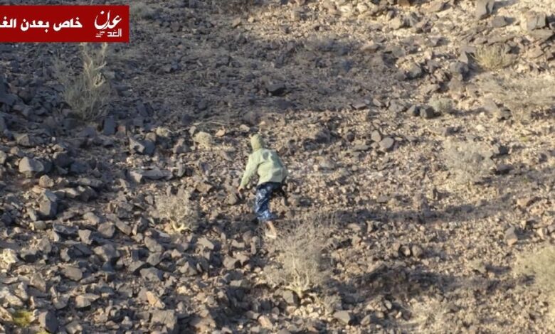 قيادي في اللجان الشعبية يدعو لمساندة ردفان