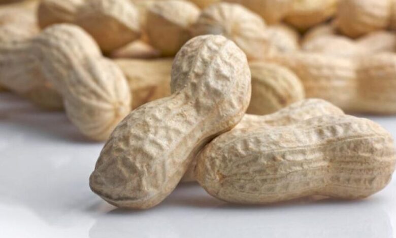 الفول السوداني وحساسية الأطفال منه