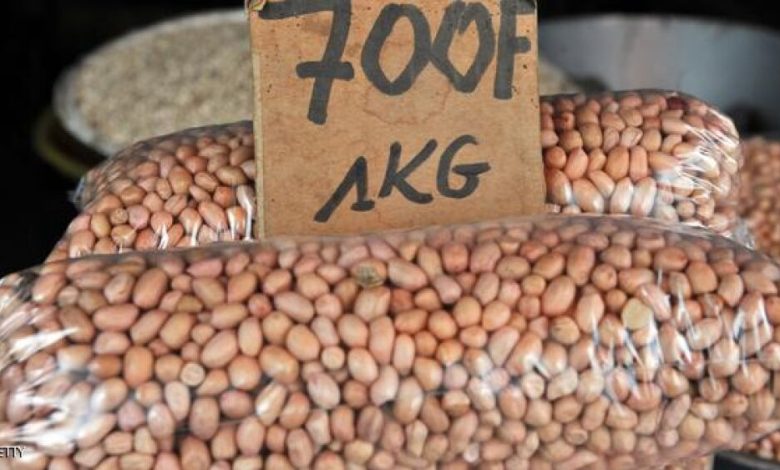 رقم قياسي لأكبر إناء من زبدة الفول السوداني