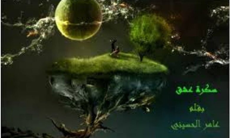 قصيدة : سكرة عشق !