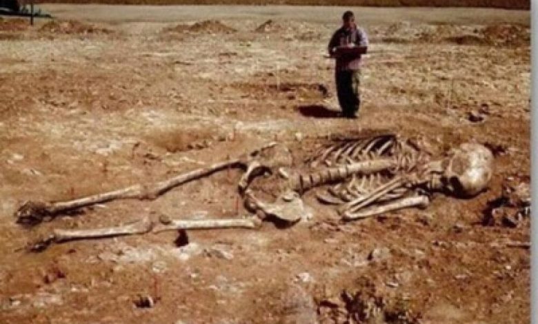 قصص قصيرة جدا % 100