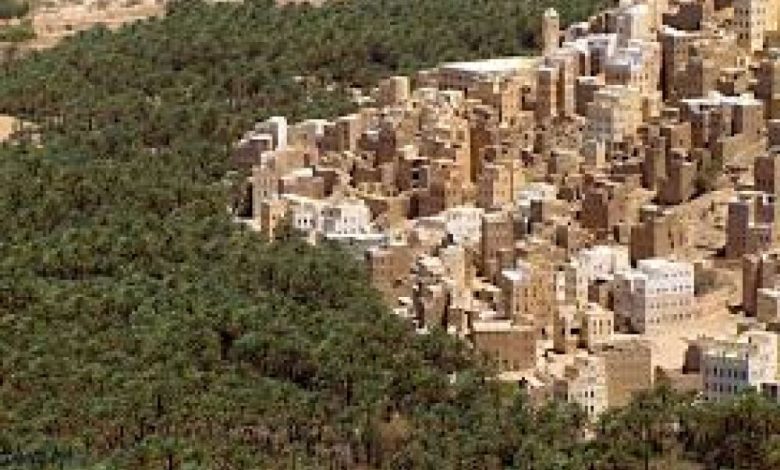 تأسيس جمعية زارعي القوقعة وضعاف السمع بوادي حضرموت