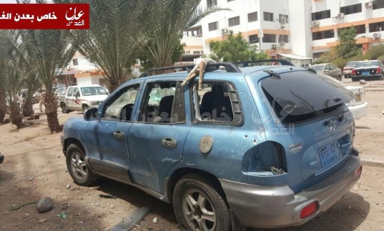 قط يدفع حياته ثمنا لمحاولة الحصول على وجبة غذاء بعدن