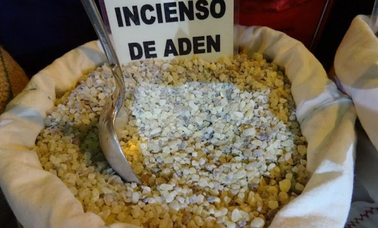 البخور واللبان العدني في شوارع إشبيلية الإسبانية